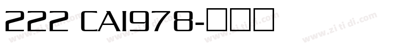 222 CAI978字体转换